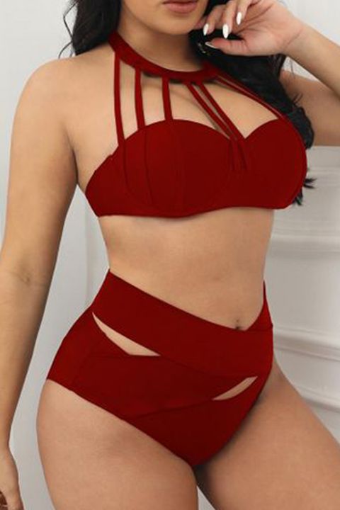 Solid Criss Cross Hollow Out Halter Bikini Set - Email Only gallery 1